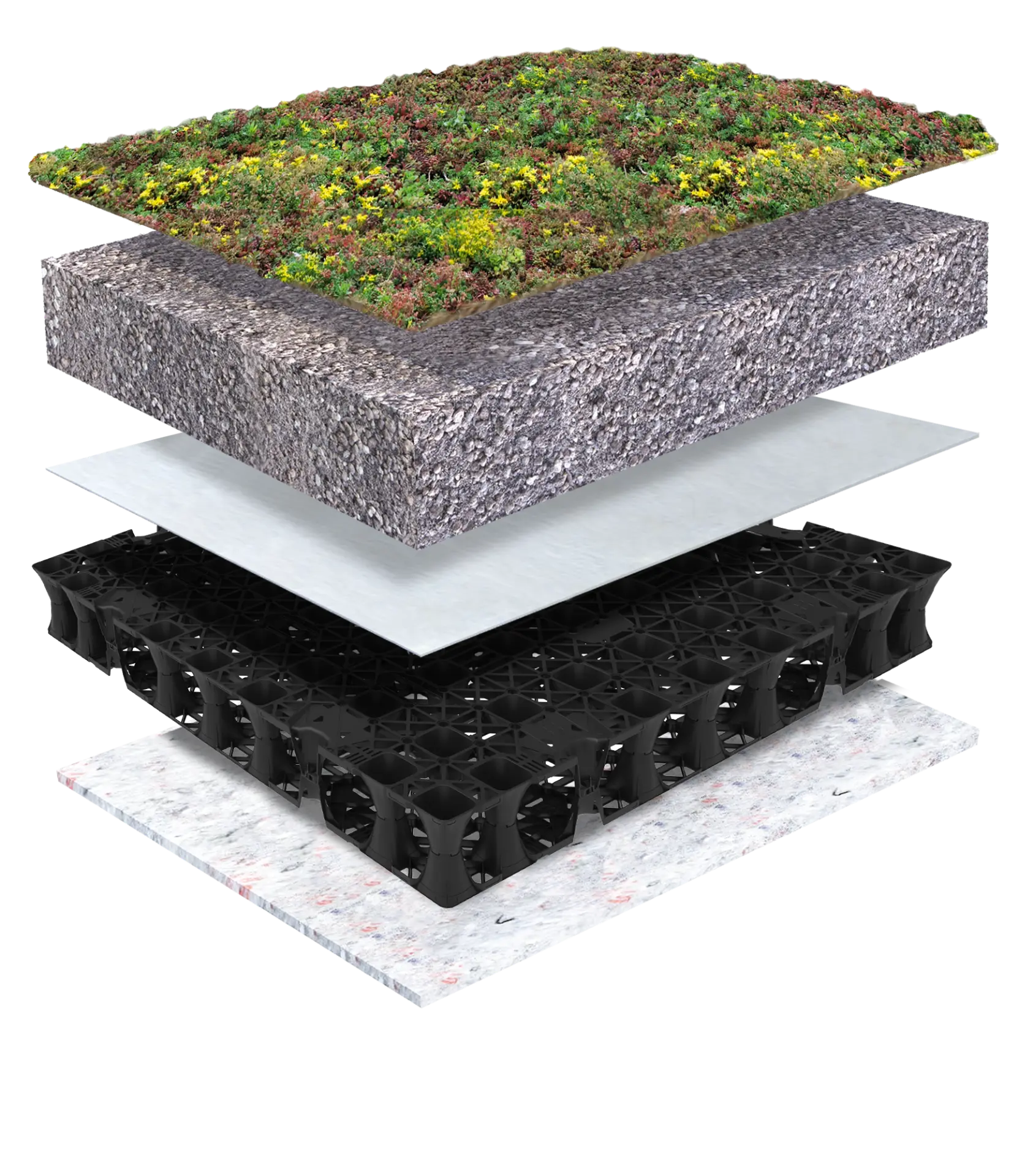 PolderRoof Circulair Sedum