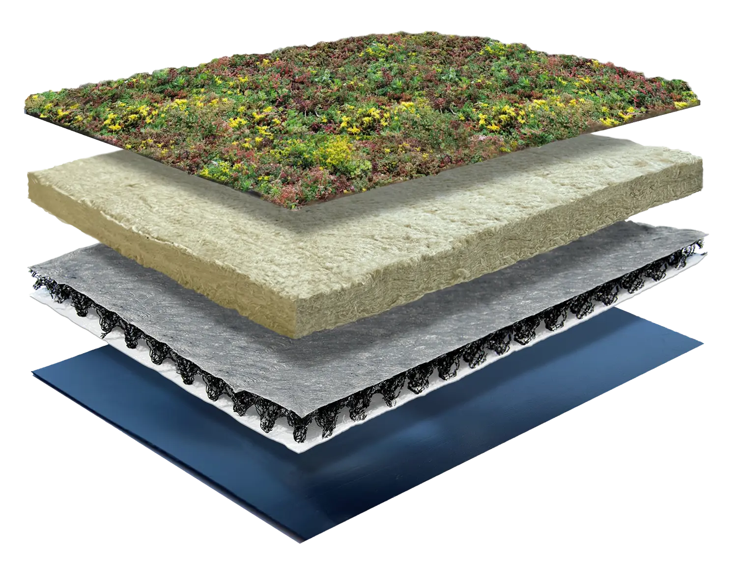 Sedum Lite