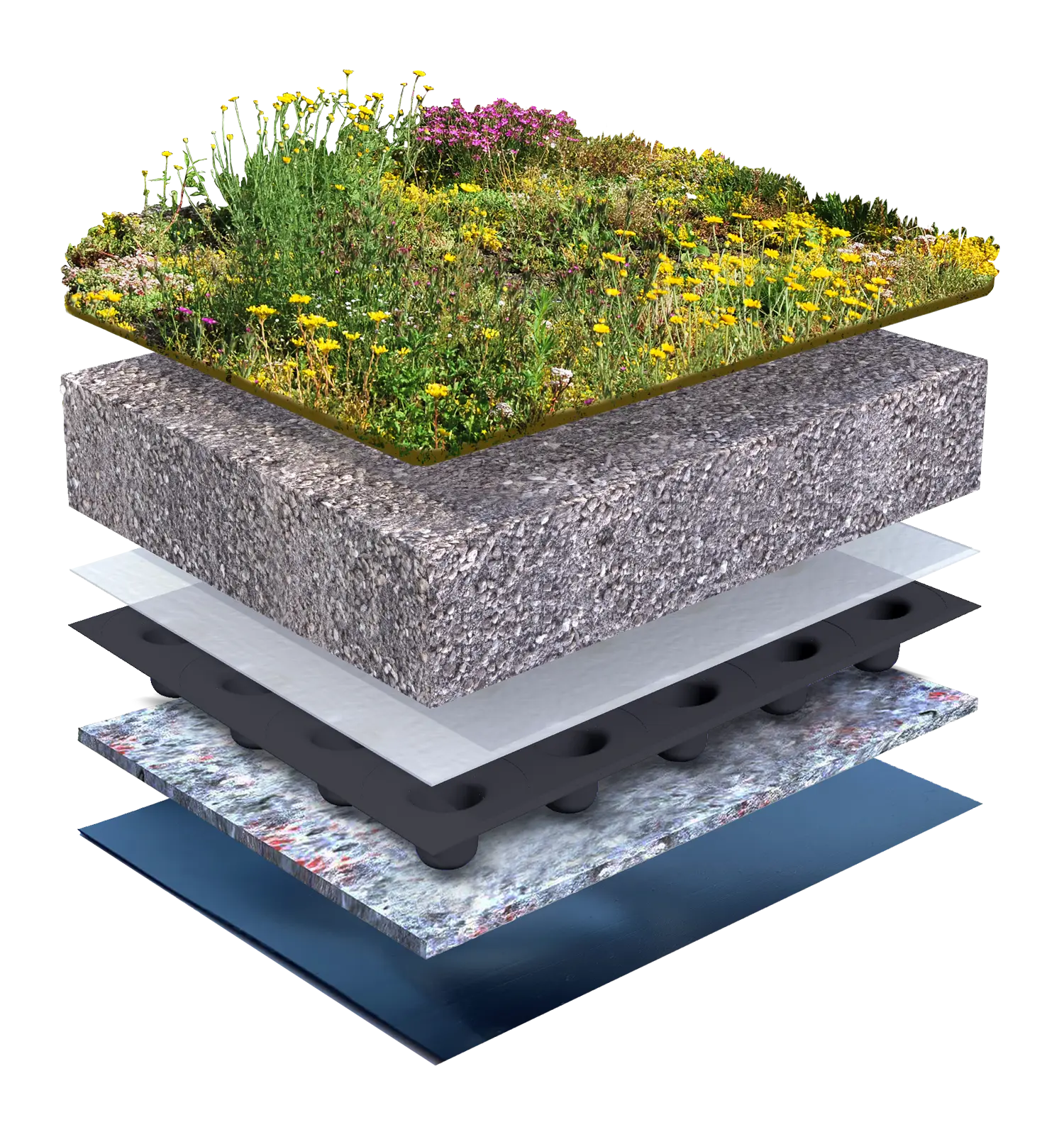Flowergreen Herba