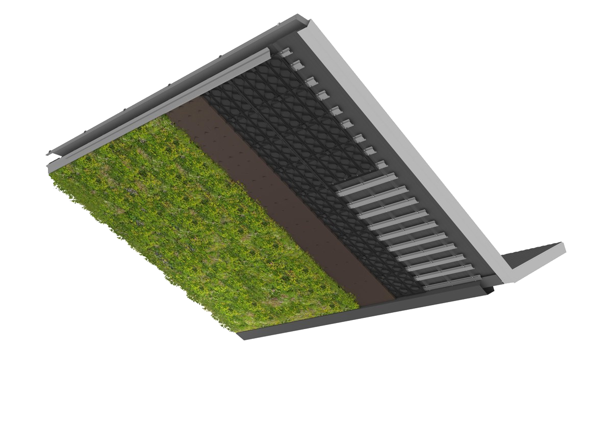 FALK-Sempergreen op sandwichpanelen