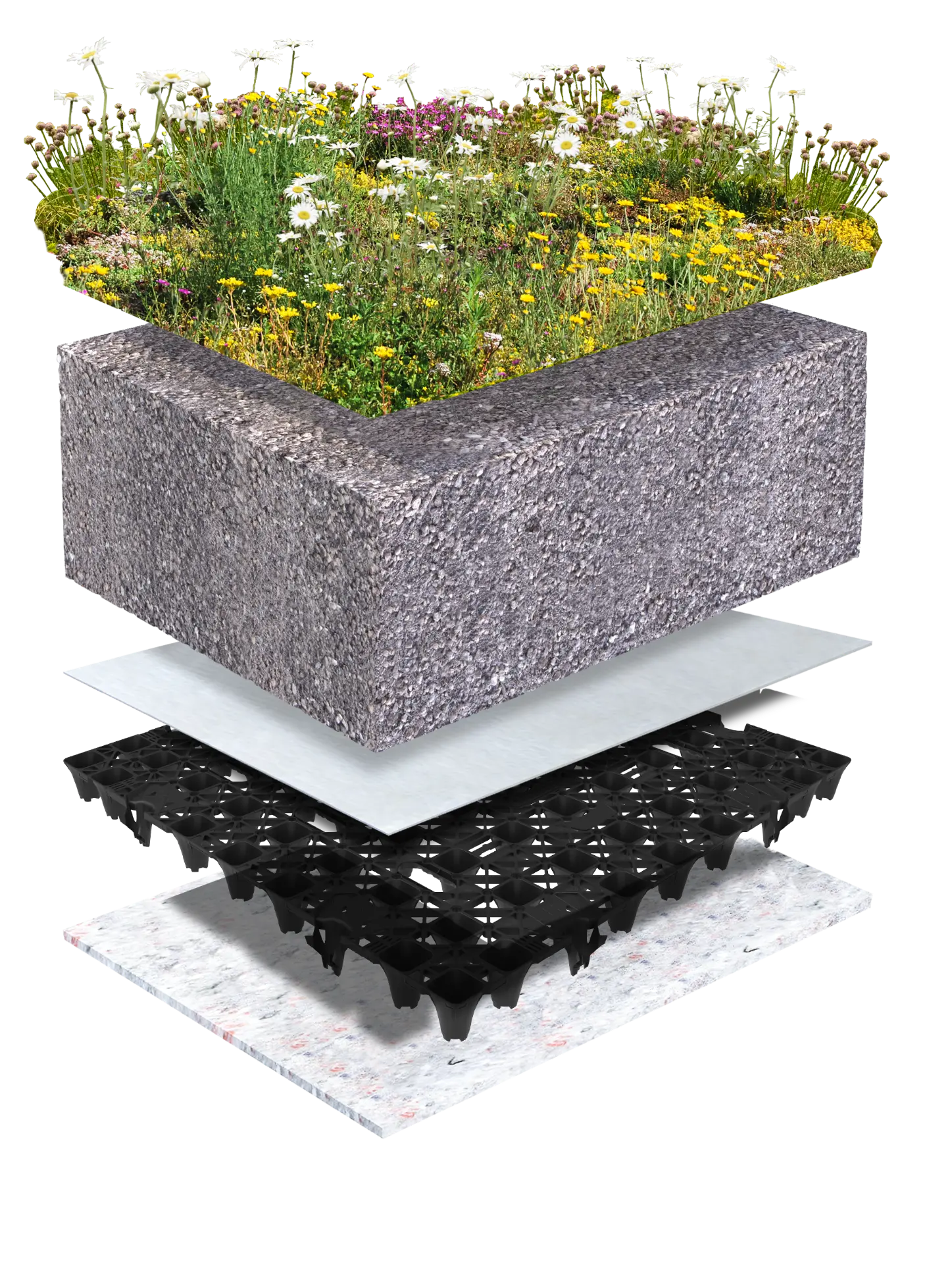 PolderRoof Biodivers 5 cm