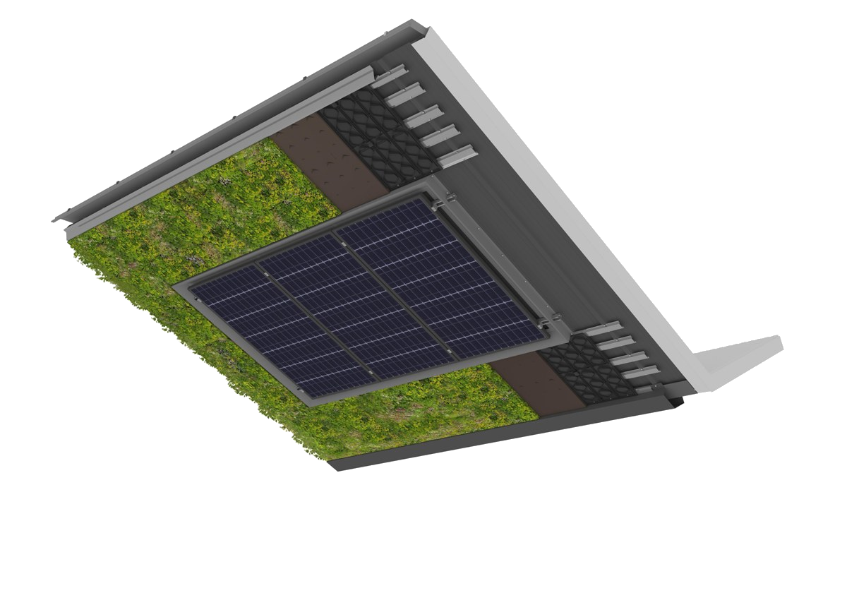 FALK-Sempergreen op sandwichpanelen