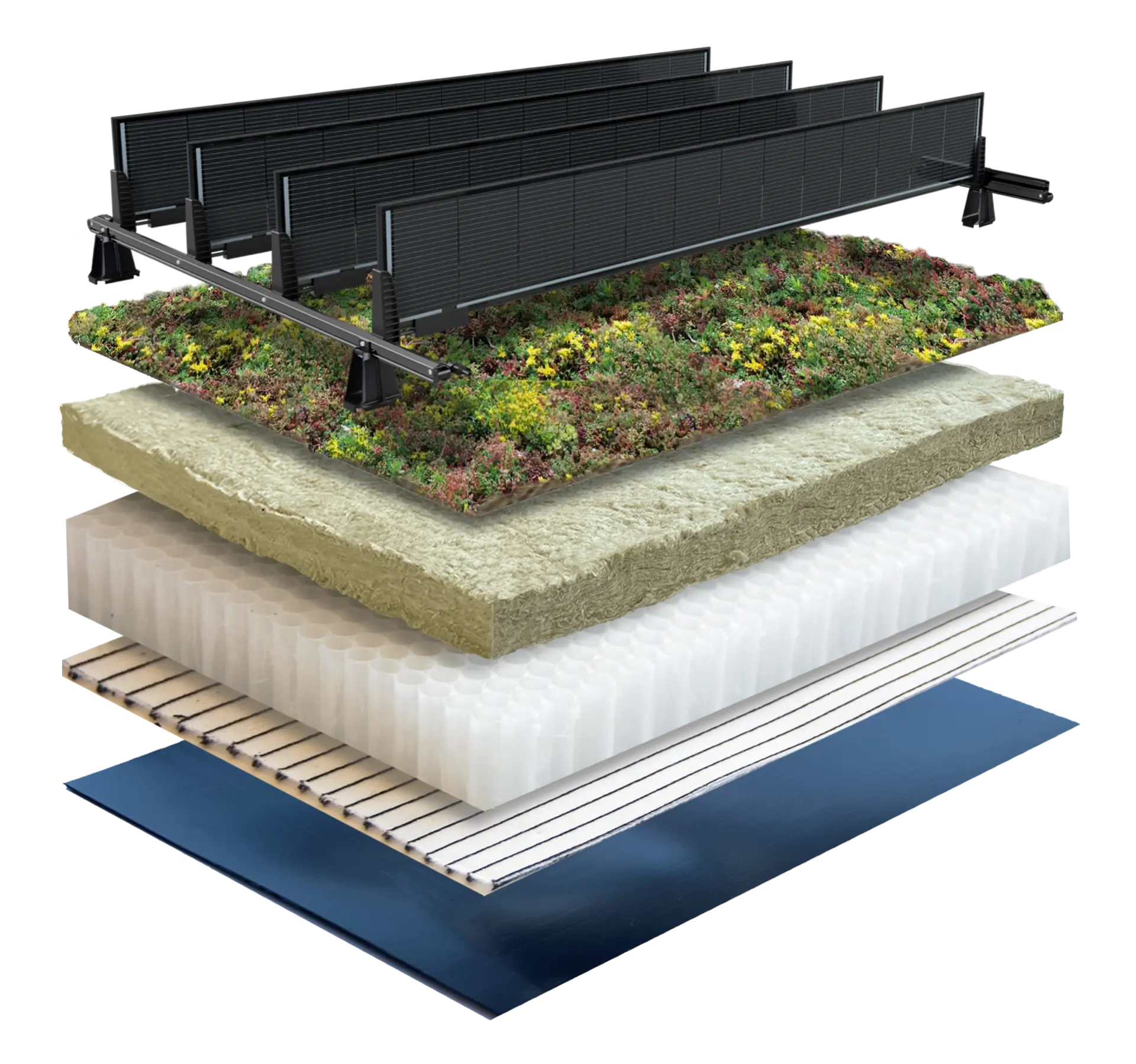 Purple Roof Solar