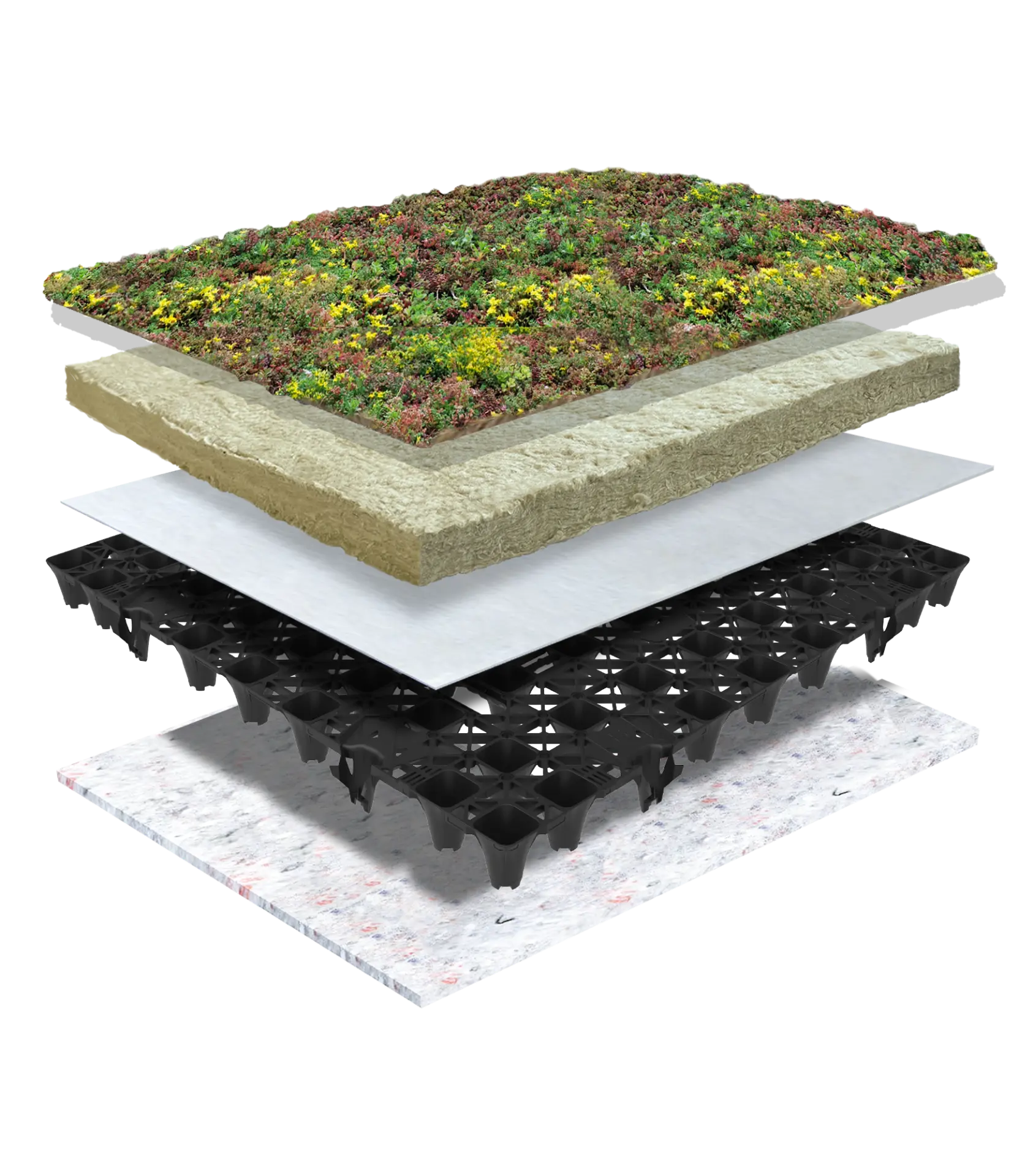 PolderRoof Lichtgewicht Sedum