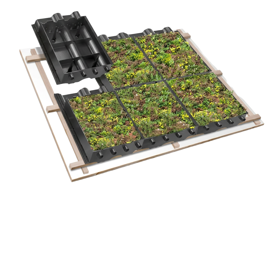 Nelskamp LivingRoof